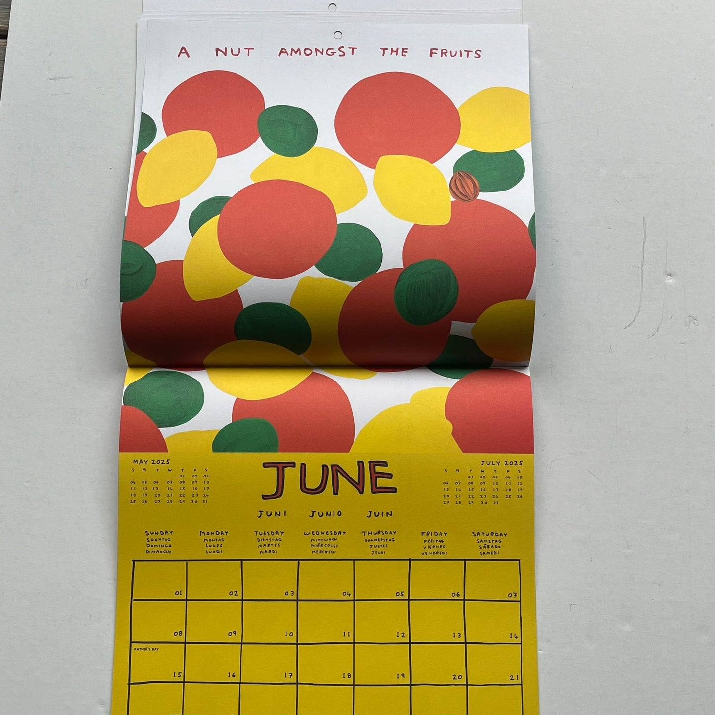 David Shrigley - 2025 Calendar