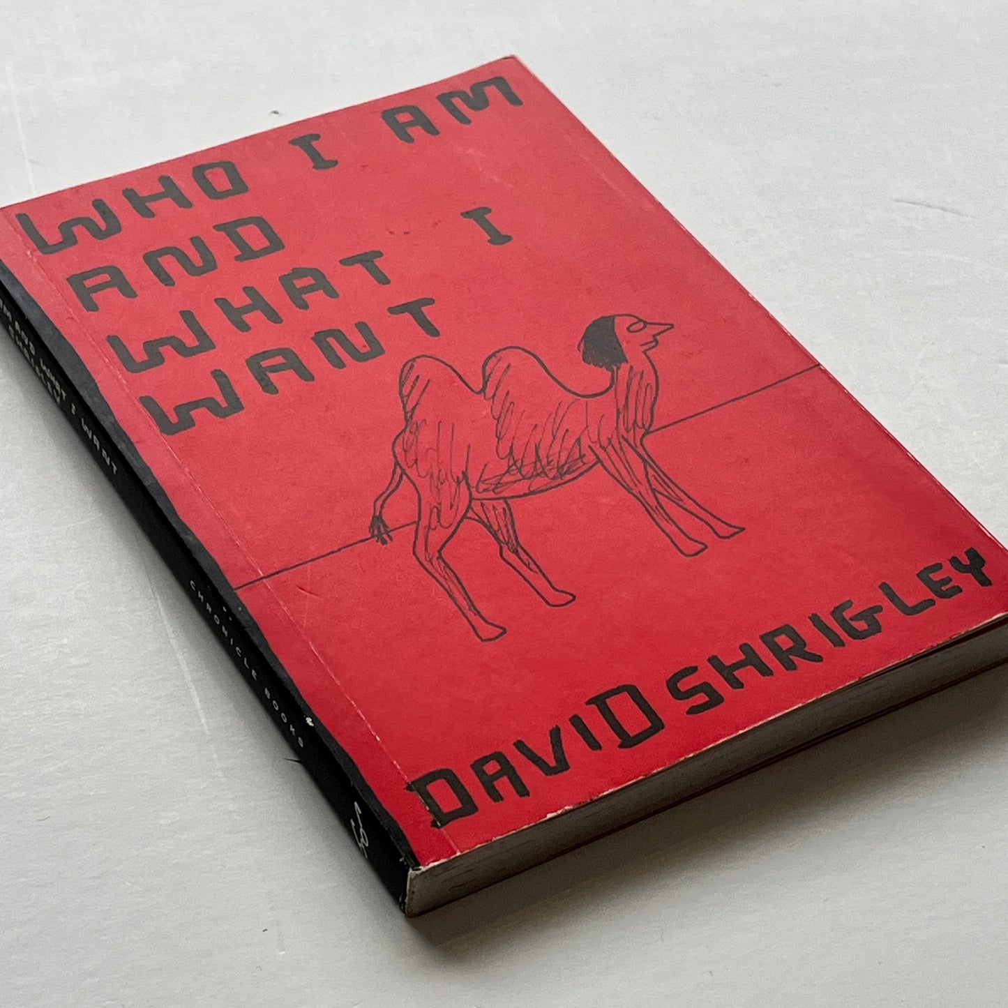 David Shrigley - Who I Am And What I Want (US Edition)