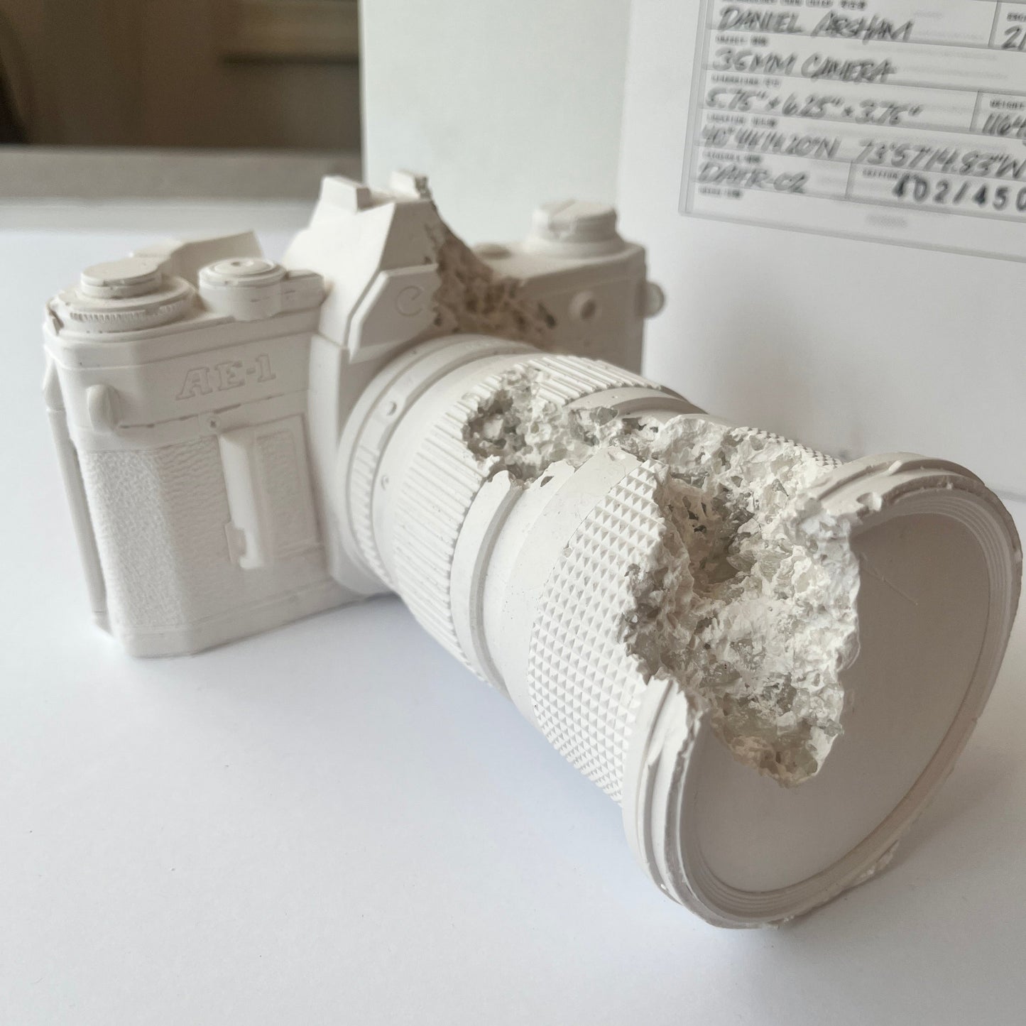 Daniel Arsham - Future Relic 02: Camera