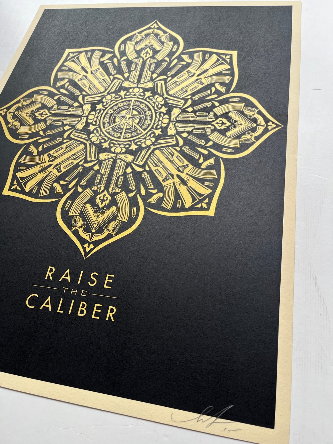 Shepard Fairey - Raise the Caliber
