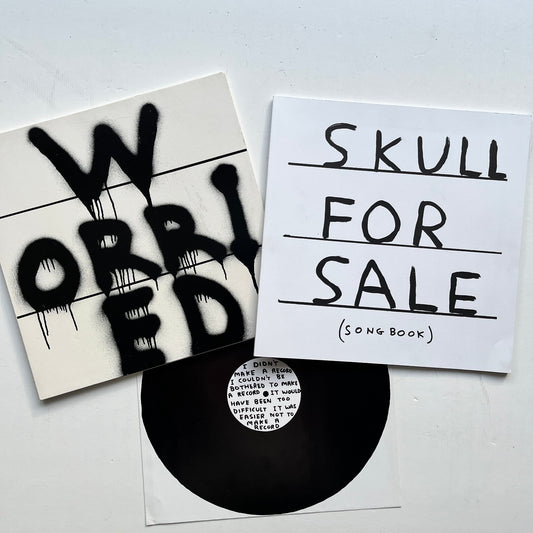 David Shrigley - Worried Noodles (LP Sized Book)