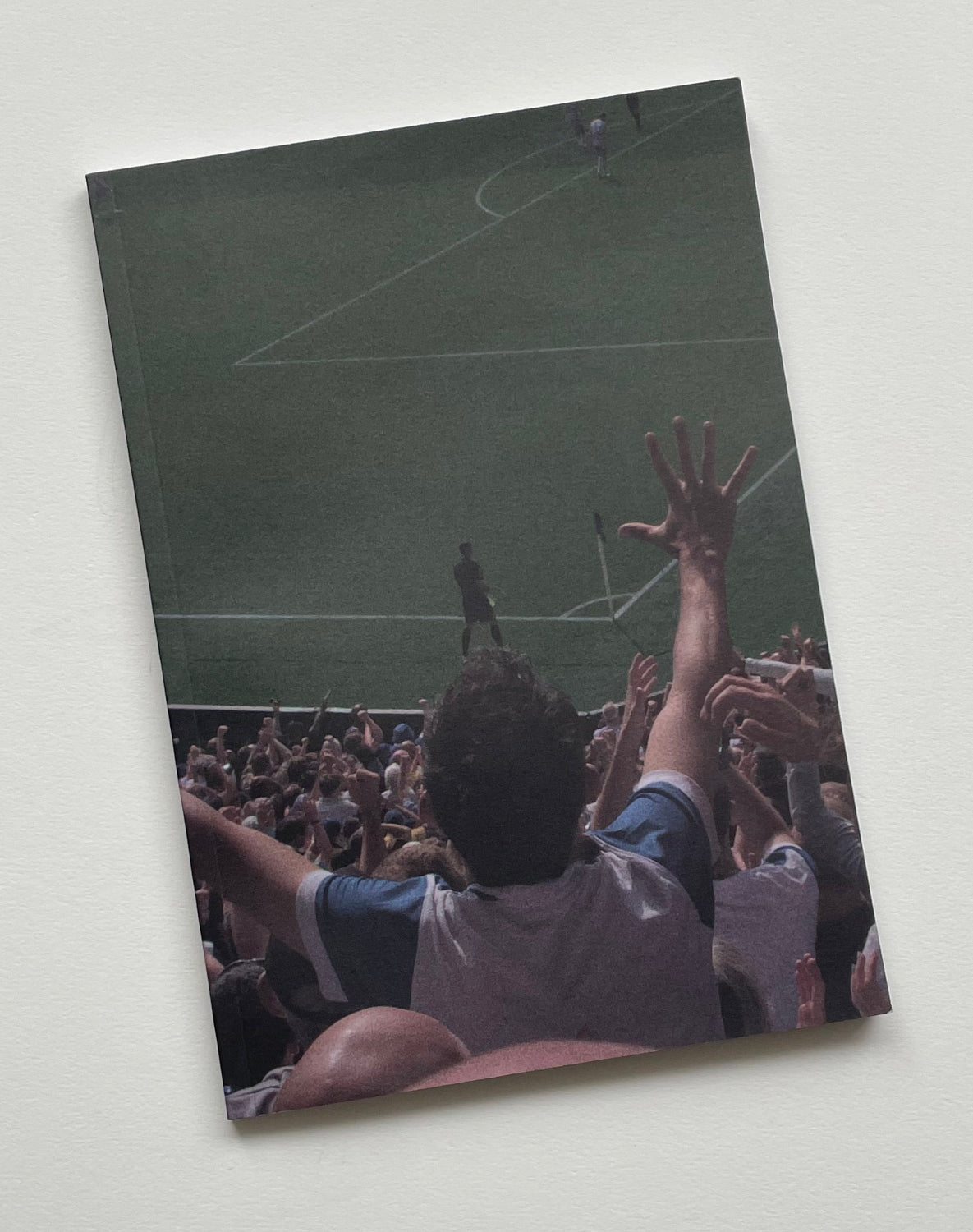 Dogma Issue 16 - Brighton & Hove Albion Fanzine