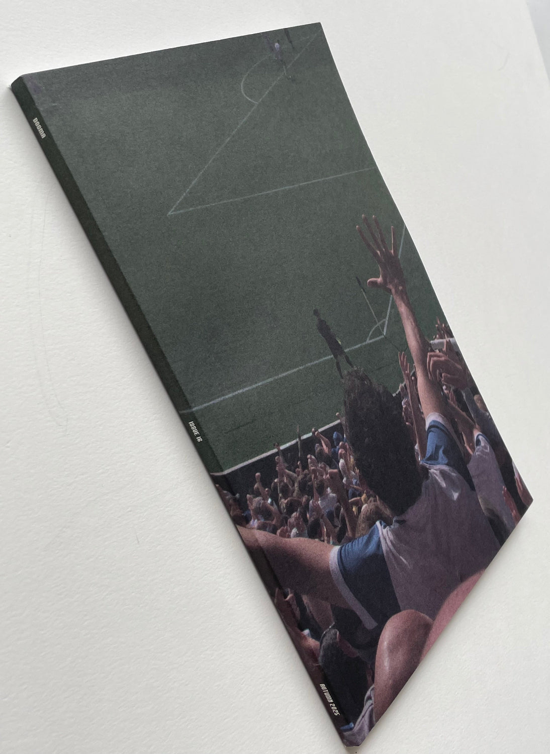 Dogma Issue 16 - Brighton & Hove Albion Fanzine