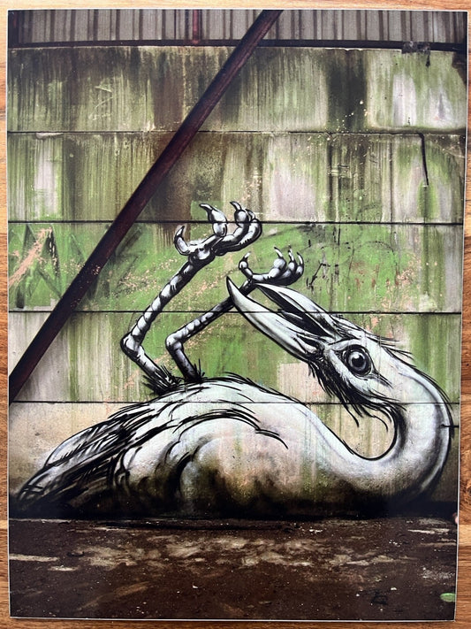 ROA - Crane (Signed Diabond Photo Print)