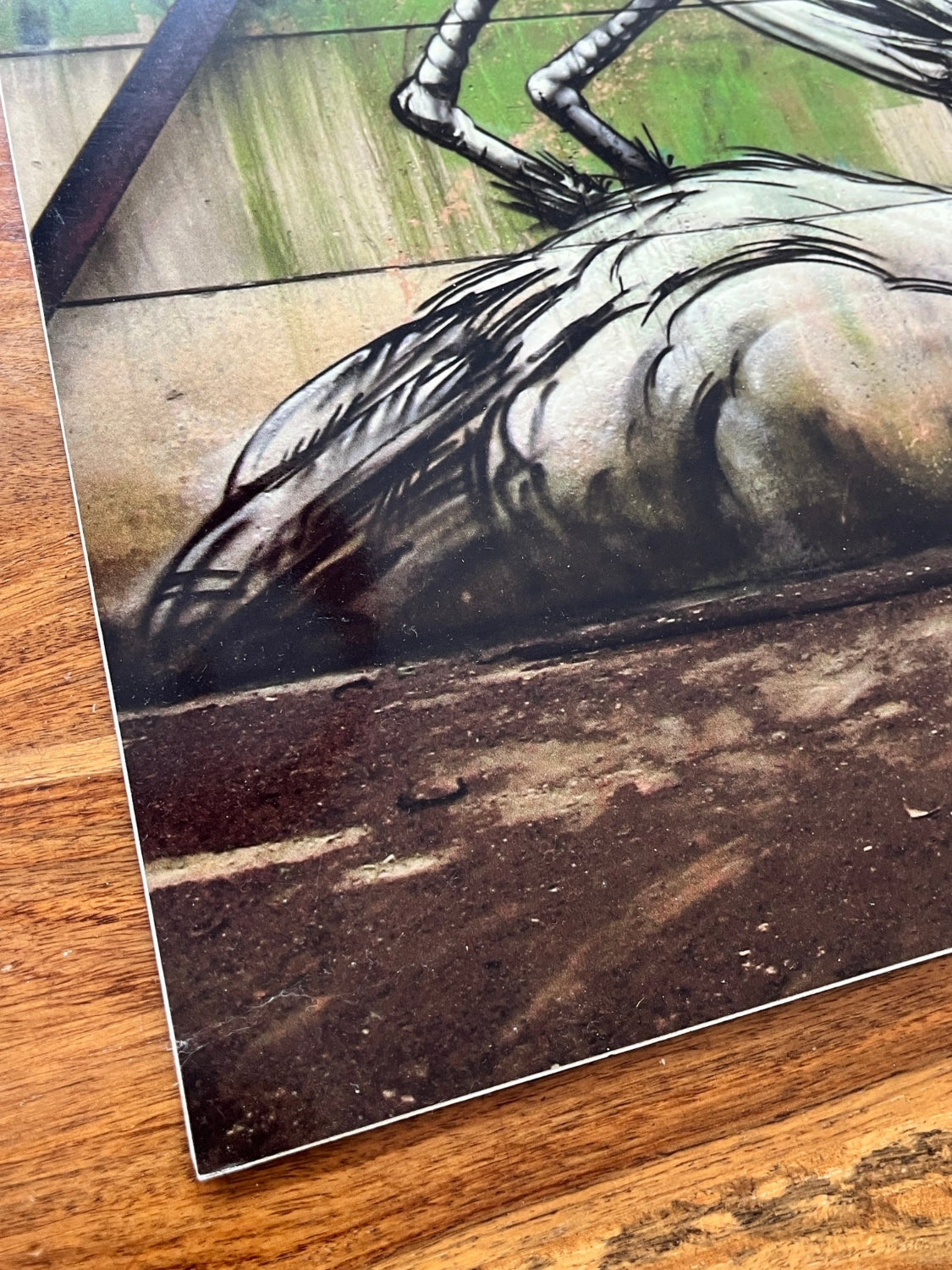 ROA - Crane (Signed Diabond Photo Print)