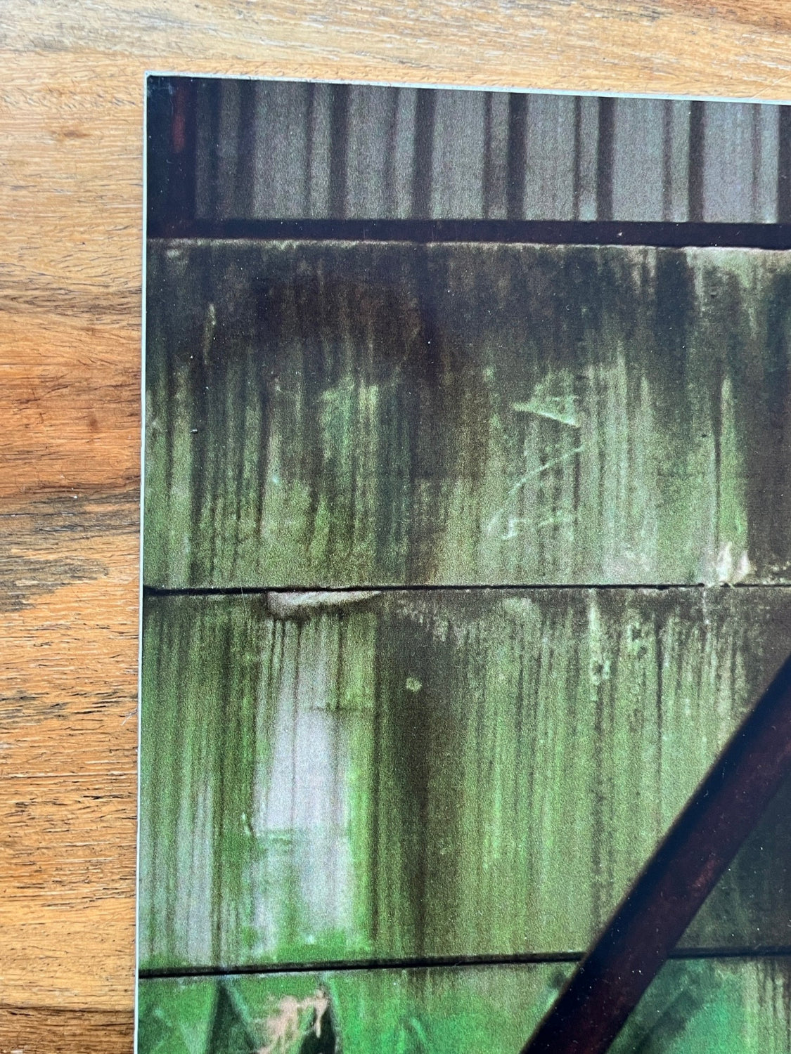 ROA - Crane (Signed Diabond Photo Print)