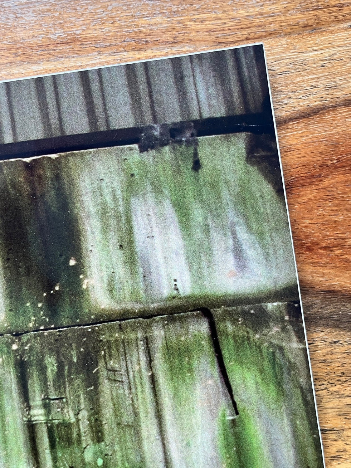 ROA - Crane (Signed Diabond Photo Print)