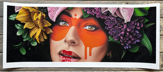 FinDAC - Fleur LI-05