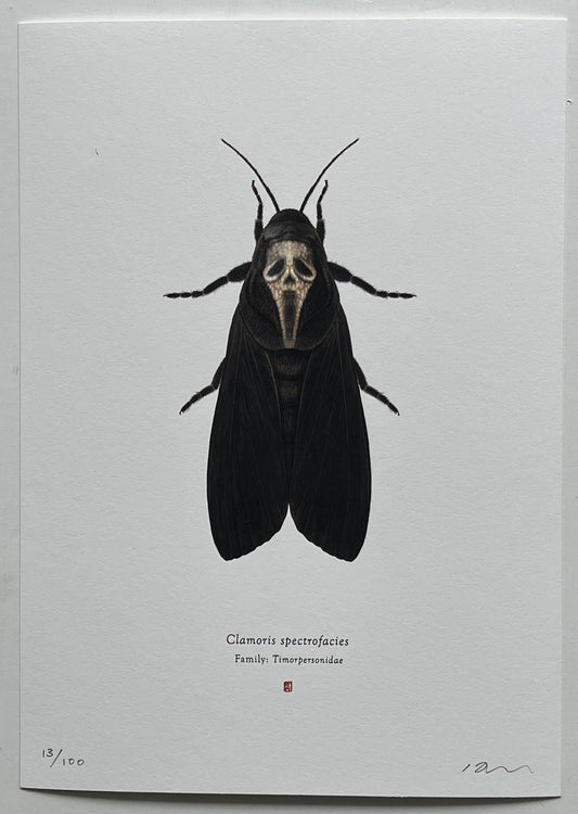 Richard Wilkinson - Clamoris Spectrofacies (Scream)