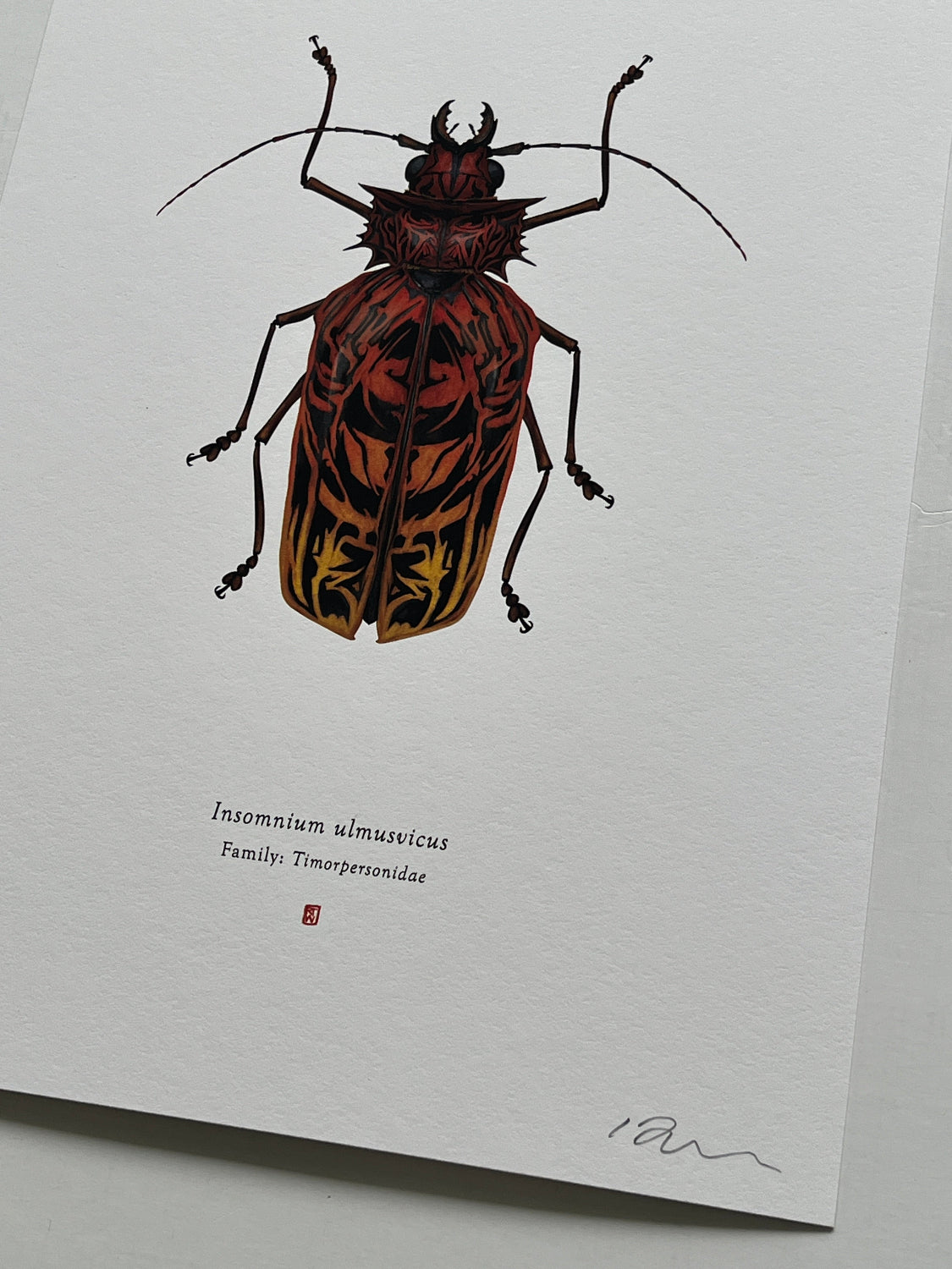 Richard Wilkinson - Insomnium Ulmusvicus (Freddy Krueger)