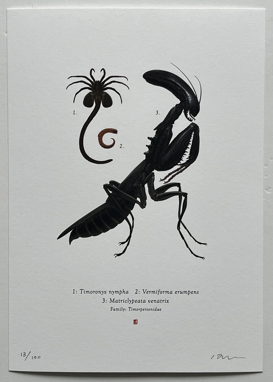 Richard Wilkinson - Matricypeata Venatrix (Alien)