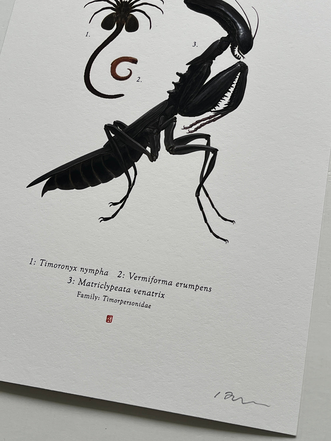 Richard Wilkinson - Matricypeata Venatrix (Alien)