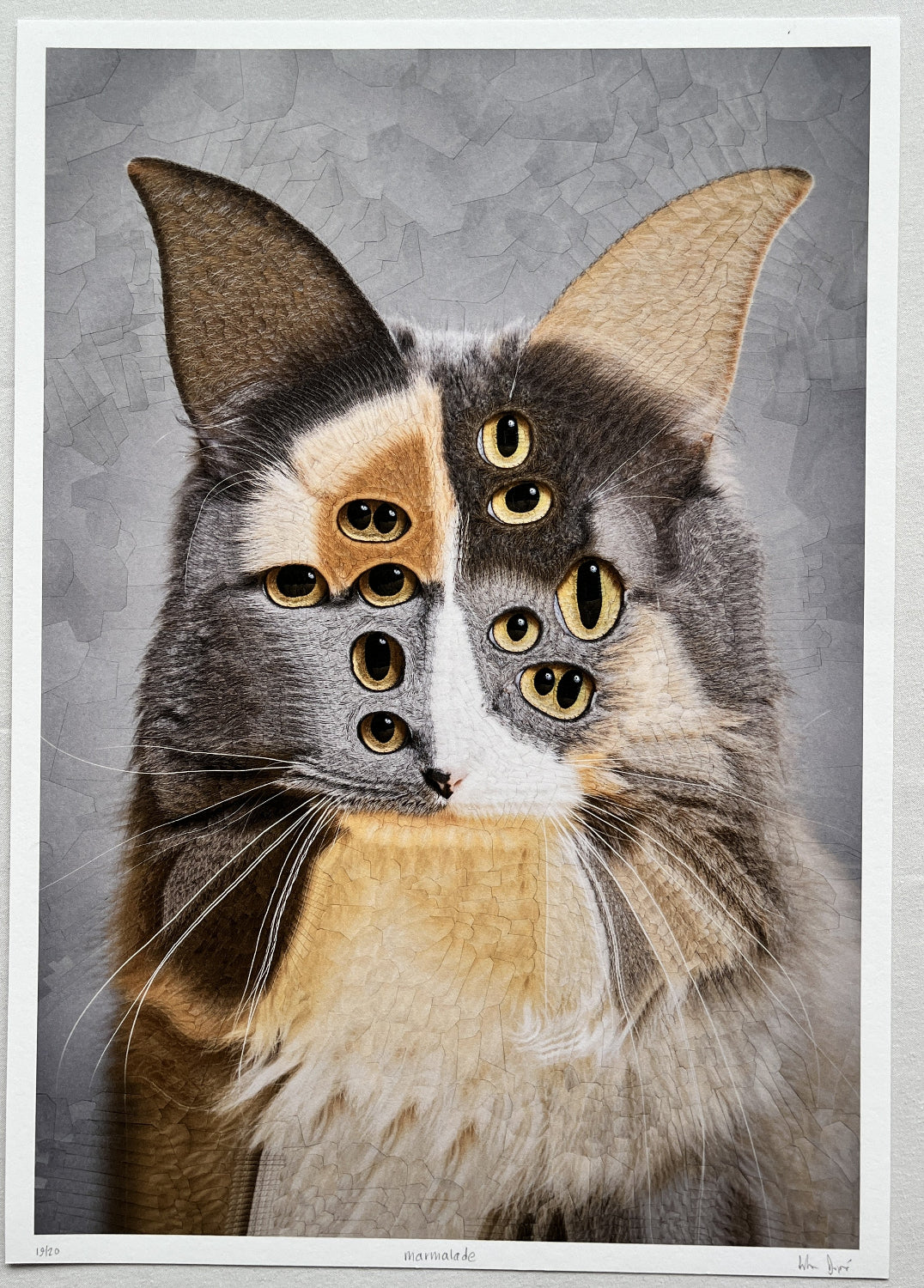 Lola Dupré - Marmalade