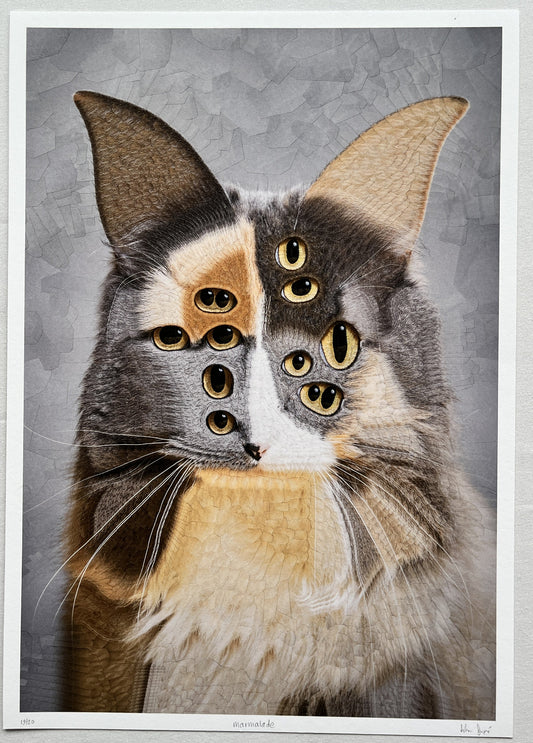 Lola Dupré - Marmalade