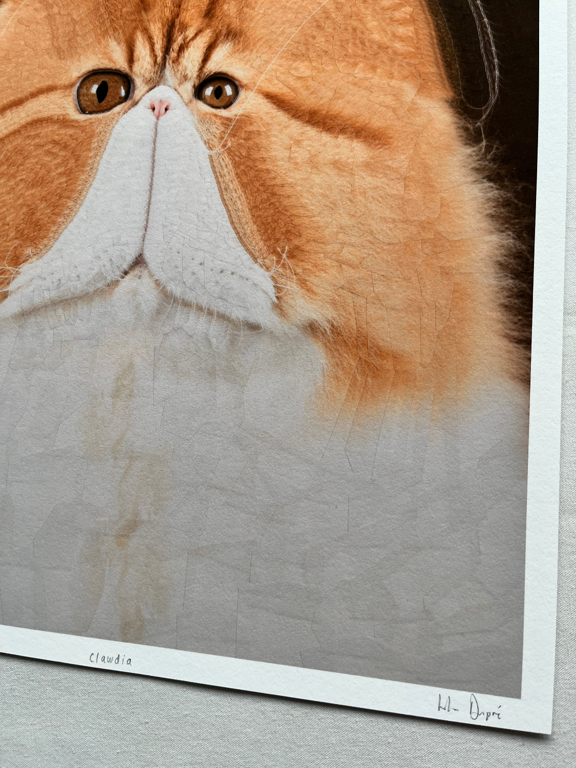 Lola Dupré - Clawdia