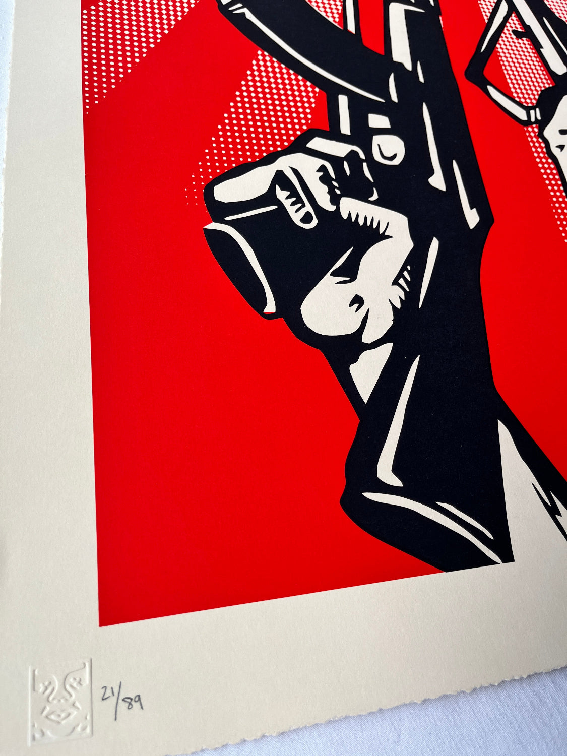 Shepard Fairey - Guns & Roses (Large Format)