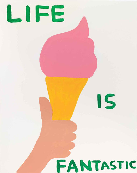 David Shrigley - Life Is Fantastic