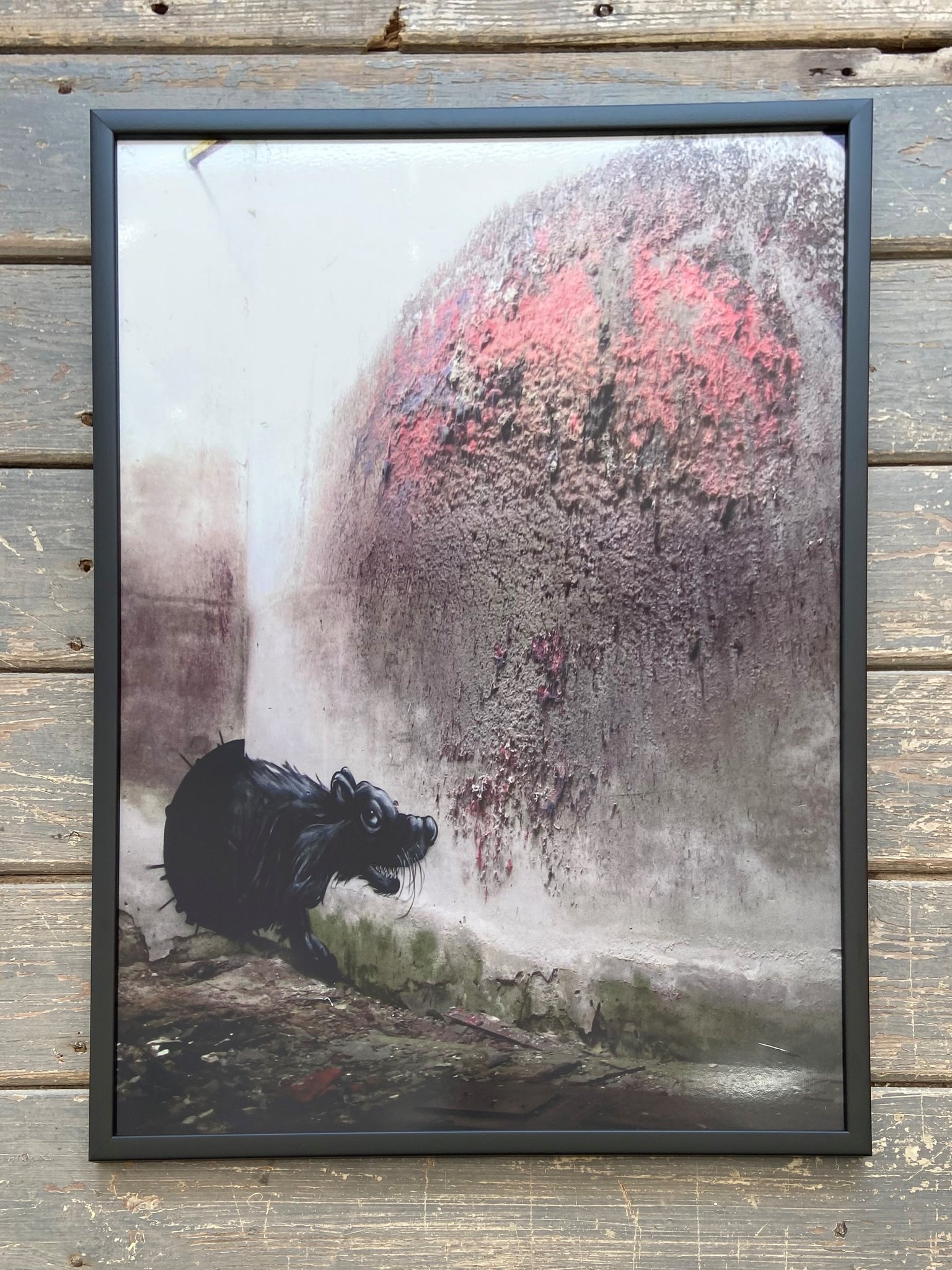 ROA - Rat (Signed Diabond Photo Print). Belgian street artist