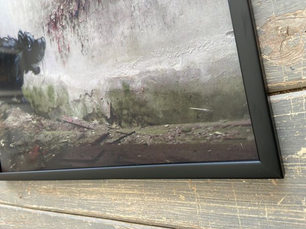 ROA - Rat (Signed Diabond Photo Print)
