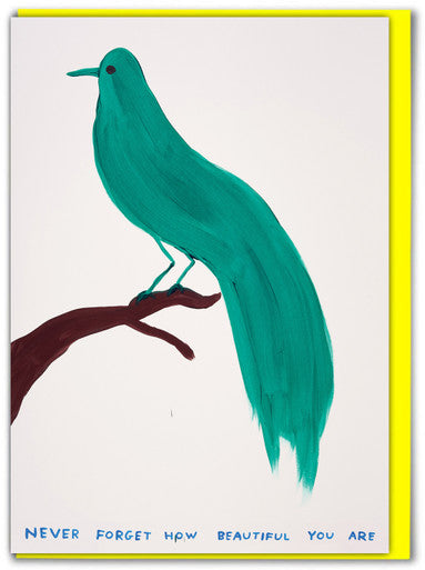 David Shrigley - Greeting Cards (Colour)