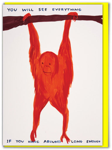 David Shrigley - Greeting Cards (Colour)
