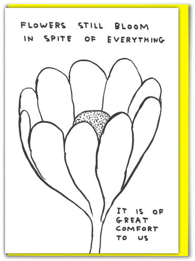 David Shrigley - Greeting Cards (Black & White)