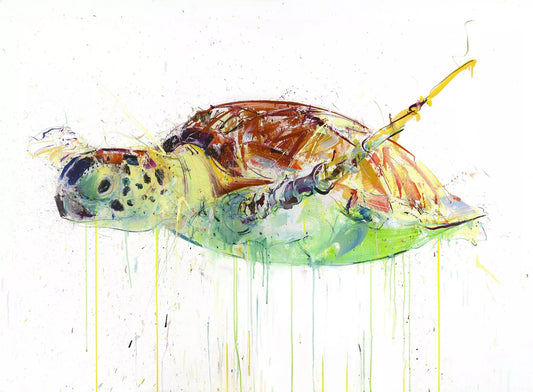Dave White - Sea Turtle (Diamond Dust)