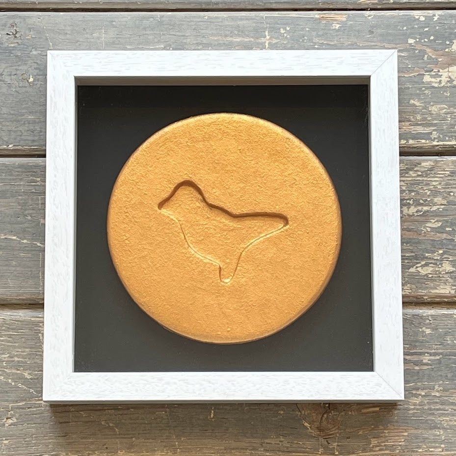 Dean Zeus Colman - Bronze Dove