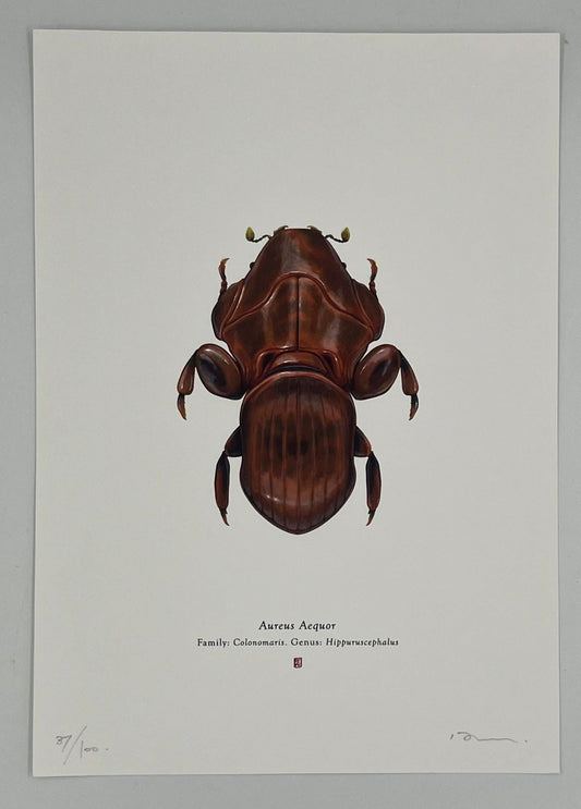 Richard Wilkinson - Aureus Aequor (Admiral Ackbar)