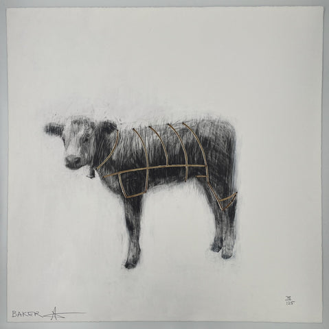 Charming Baker - Calf