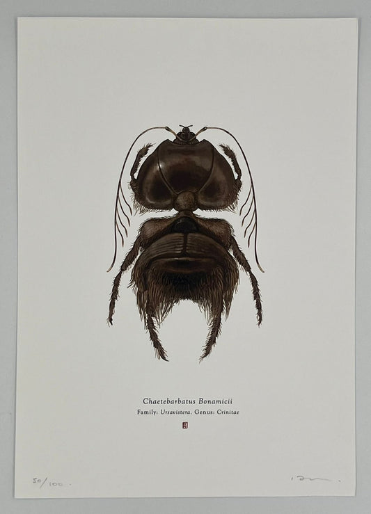 Richard Wilkinson - Chaetebarbatus Bonamicii (Chewbacca)