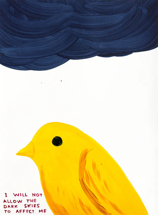 David Shrigley - I Will Not Allow The Dark Skies To Affect Me