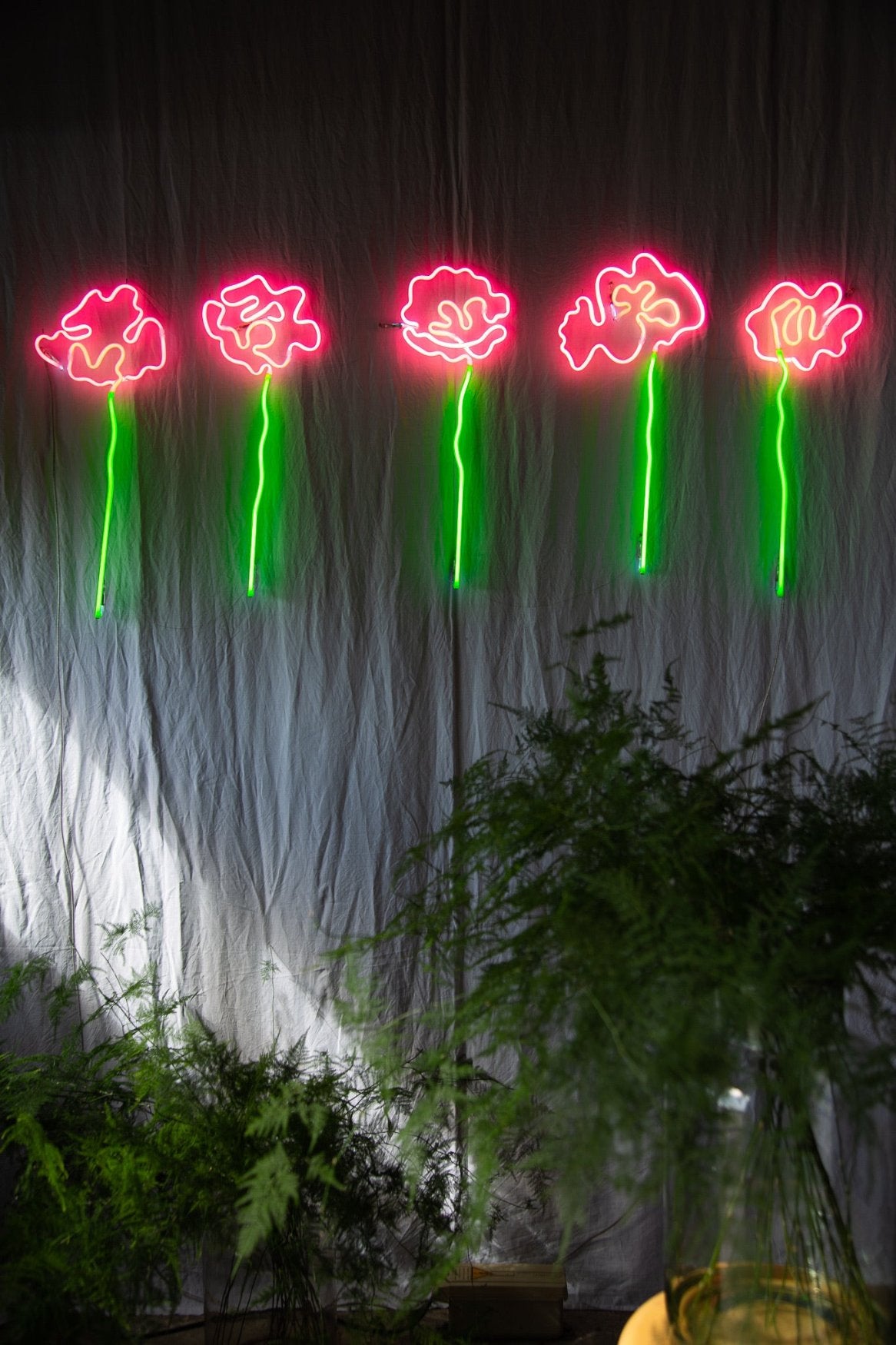 Daisy Doig - Peony