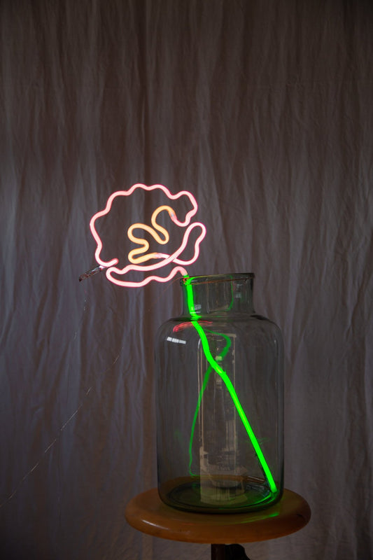 Daisy Doig - Pink Neon Peony Flower Art - Brighton Neon Artist 
