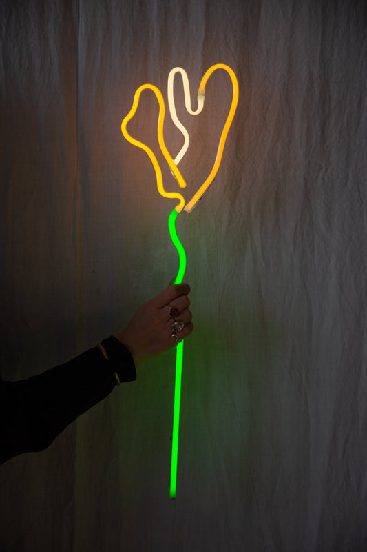 Daisy Doig - Neon Tulip Flower Art - Brighton Neon Artist 