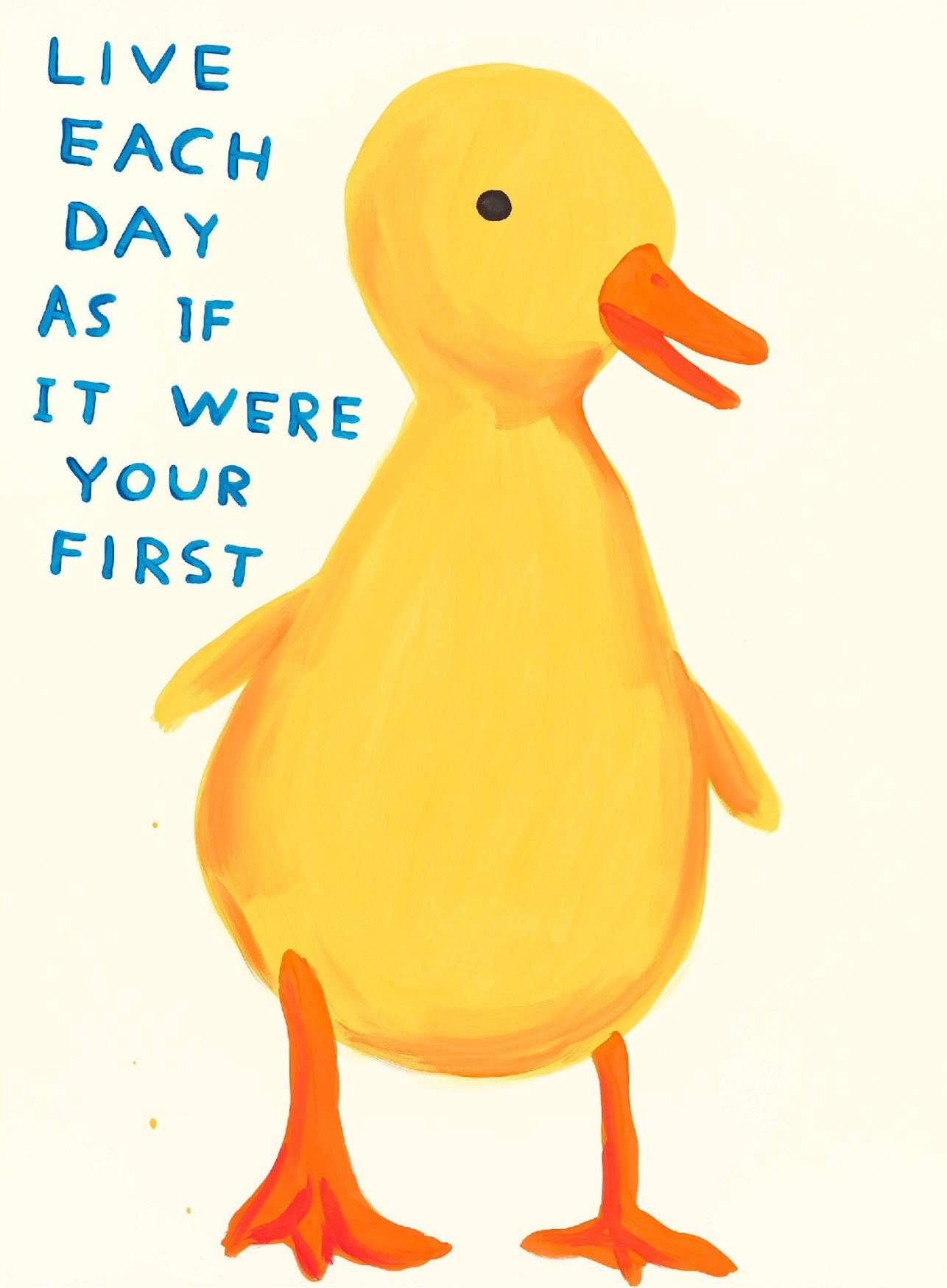 David Shrigley - Live Each Day As If It Were Your First