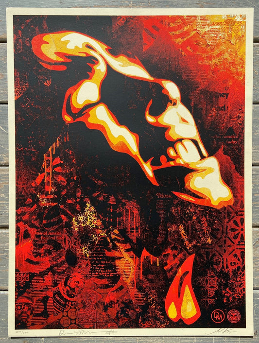 Shepard Fairey & Dennis Morris - Bob Marley - Slave Driver
