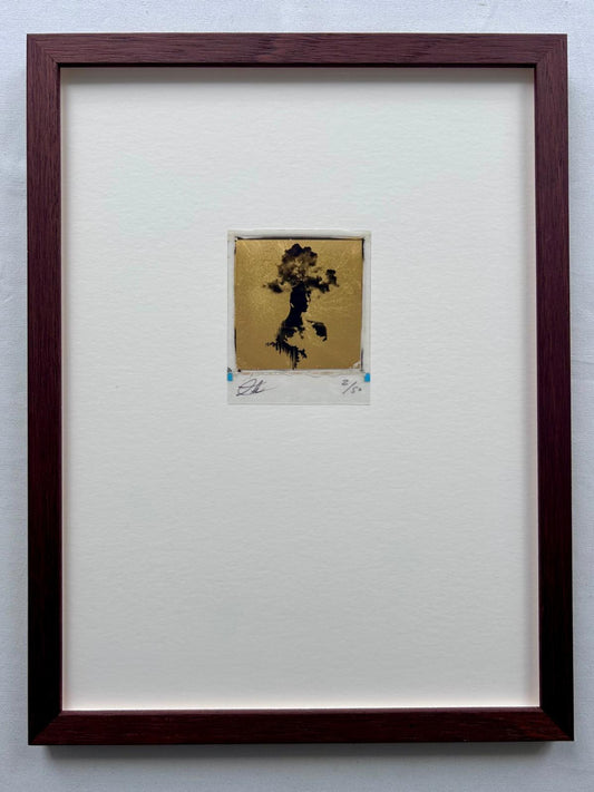 Andrew Millar - Oversleeping Eyes (Gold Leaf Polaroid)