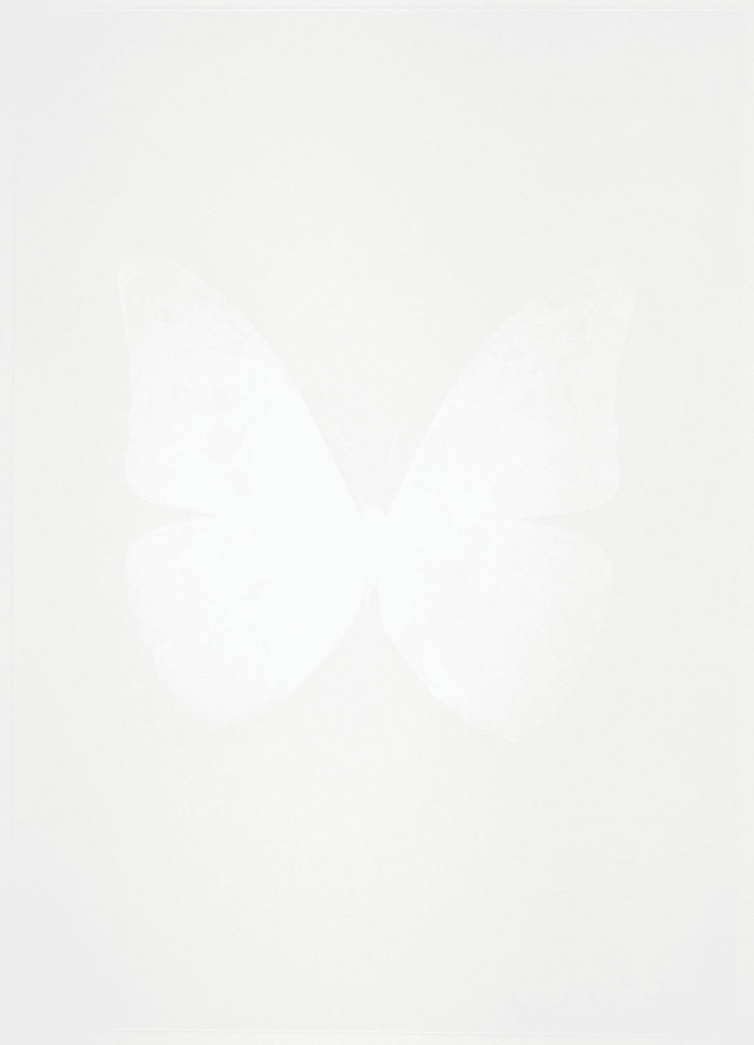 Damien Hirst - The Souls III - Cotton White