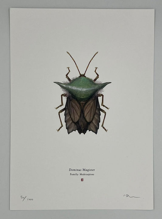 Richard Wilkinson - Dominus Magister (Yoda)