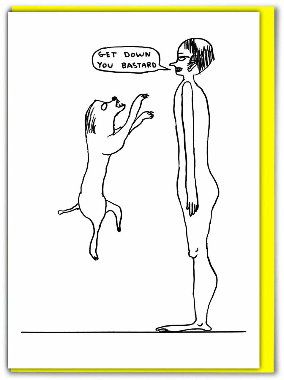 David Shrigley - Greeting Cards (Rude)