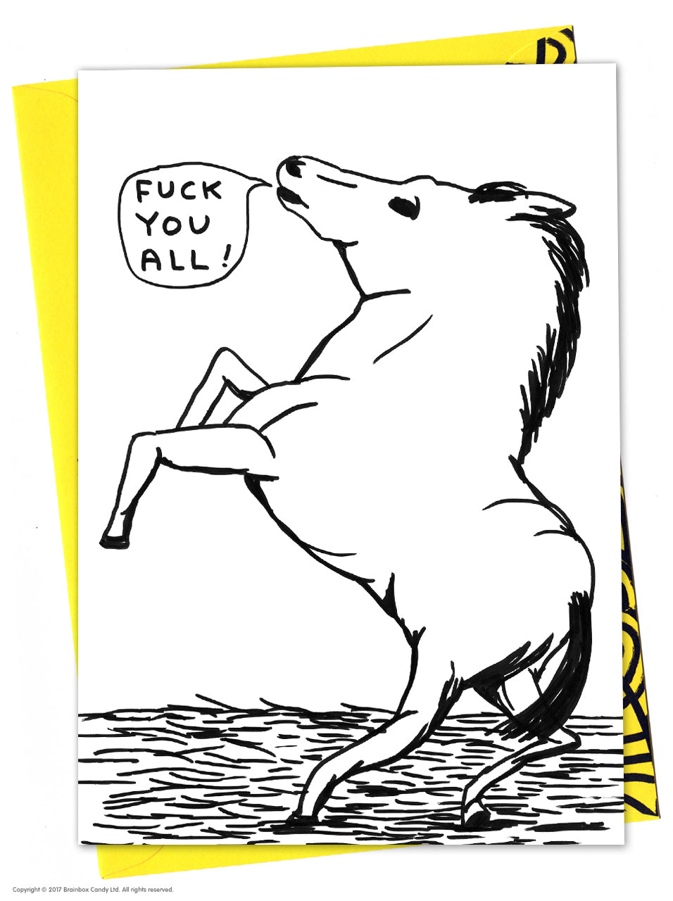 David Shrigley - Greeting Cards (Rude)