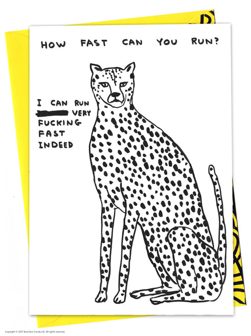 David Shrigley - Greeting Cards (Rude)