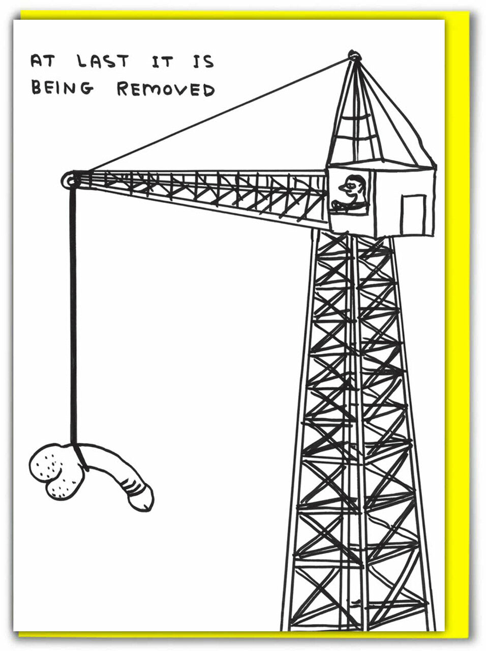 David Shrigley - Greeting Cards (Rude)