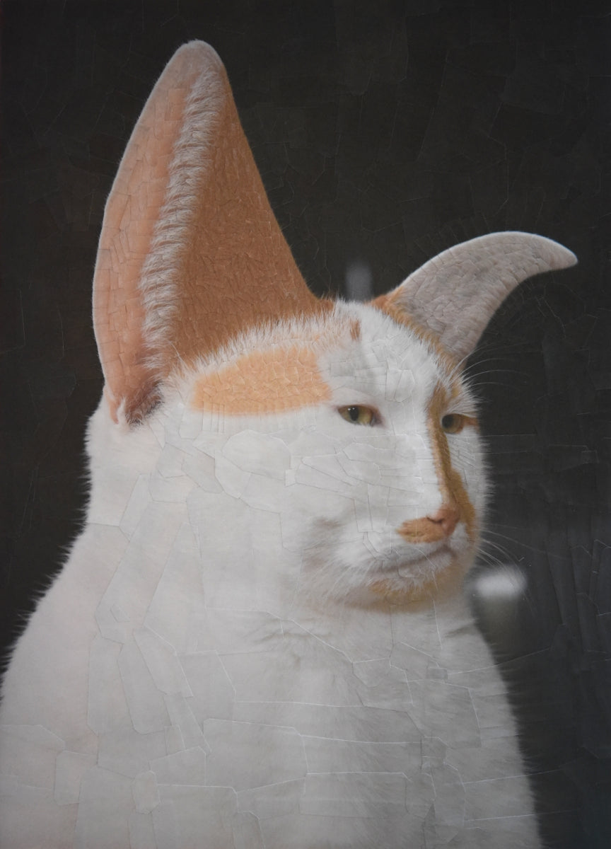 Lola Dupre - Charlie VII Softer