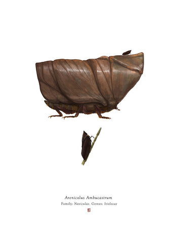 Richard Wilkinson - Arenicolus Ambucastrum (Jawa Sandcrawler)