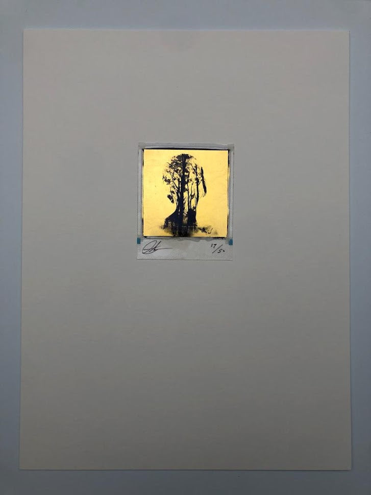 Andrew Millar - Rise (Gold Leaf Polaroid)