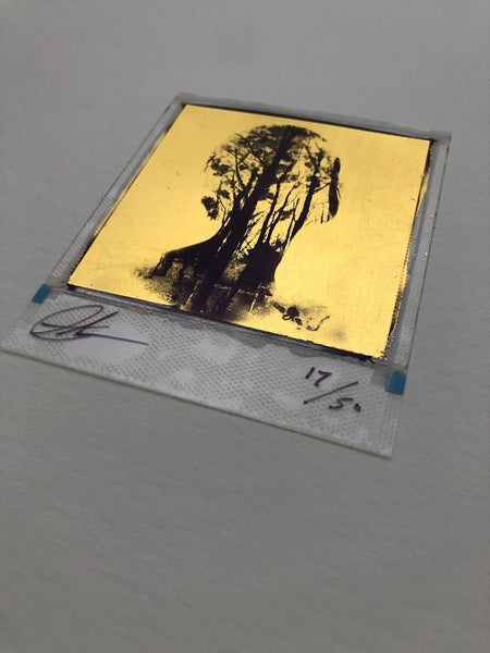 Andrew Millar - Rise (Gold Leaf Polaroid)