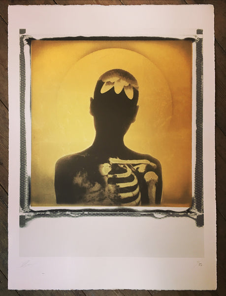 Andrew Millar - Fractured - Signed Gold Leaf Polaroid Screenprint