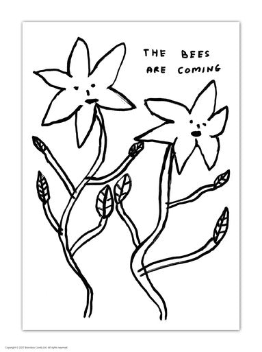 David Shrigley - Postcards (Many Different Designs!)